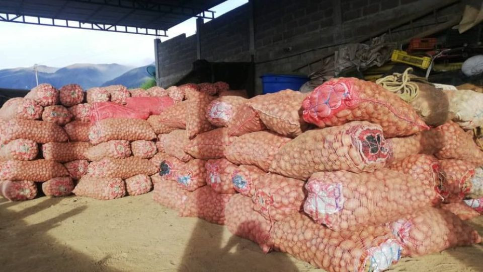 Diario Frontera, Frontera Digital,  Regionales, Páramo, ,Productores andinos denuncian niveles «críticos» de contrabando de hortalizas desde Colombia