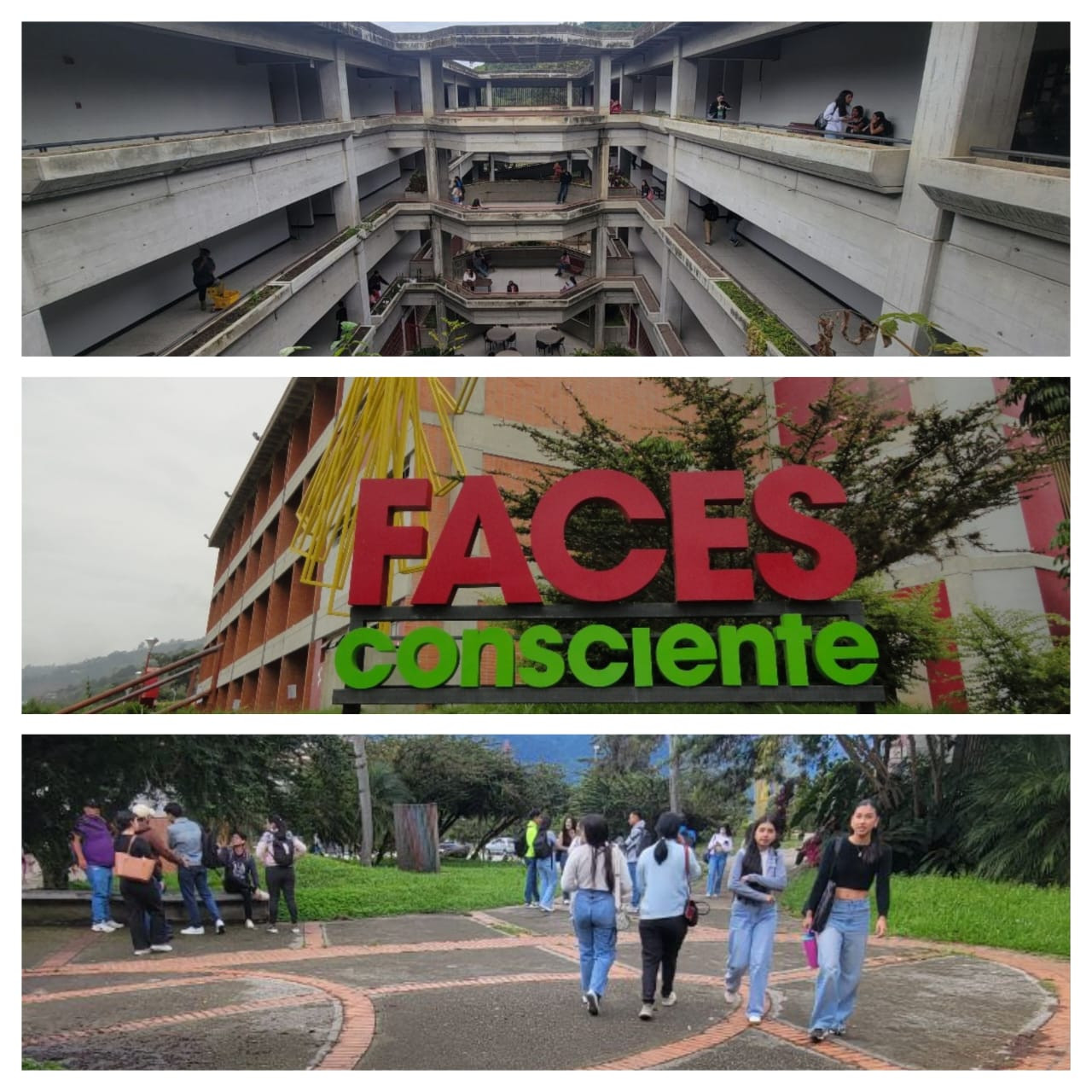 Diario Frontera, Frontera Digital,  Regionales, ,El decano de Faces, profesor Raúl Huizzi, resaltó la satisfacción de esa facultad al comenzar un nuevo ciclo académico, reafirmando su papel como pilar fundamental en la formación de profesionales en el país,Faces-ULA recibe 400 nuevos estudiantes en pregrado mientras consolida sus programas de postgrado