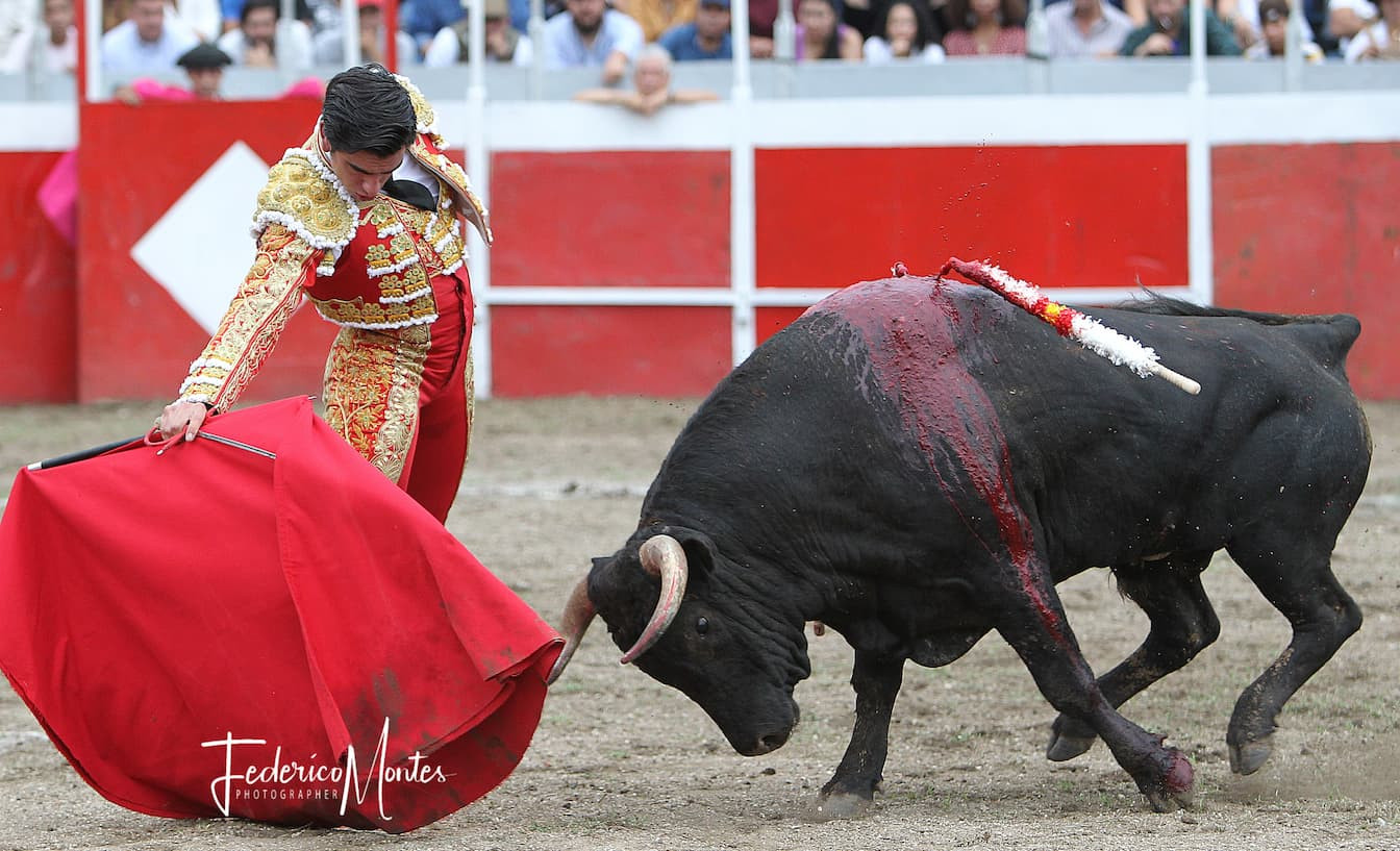  Entretenimiento, 