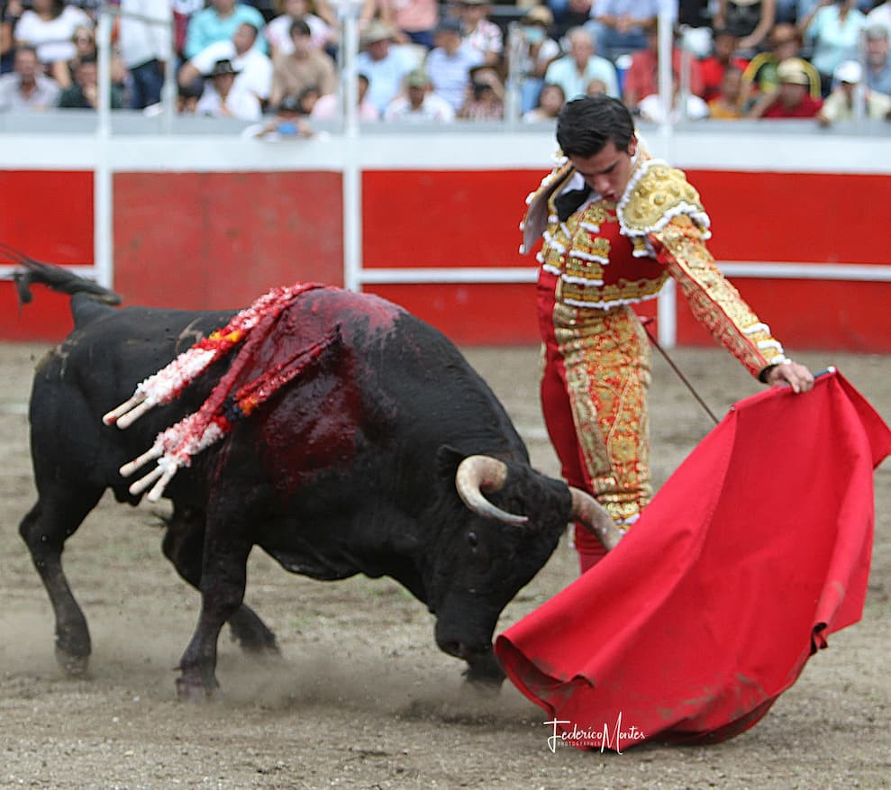  Entretenimiento, 