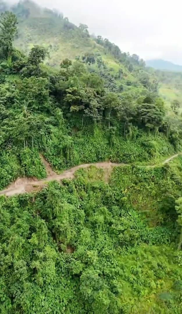 El Vigía Panamericana, 