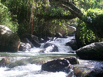 Diario Frontera, Frontera Digital,  Sucesos, ,Localizan sin vida a hombre arrastrado por el río Chama en Mérida