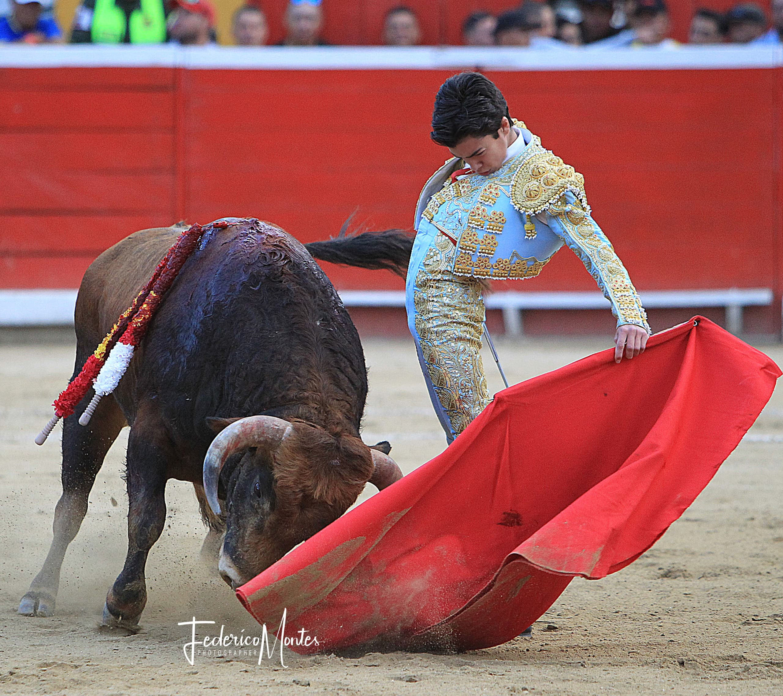 Diario Frontera, Frontera Digital,  Entretenimiento, ,Marco Pérez tomará la alternativa en junio «con un cartel espectacular» en Nimes