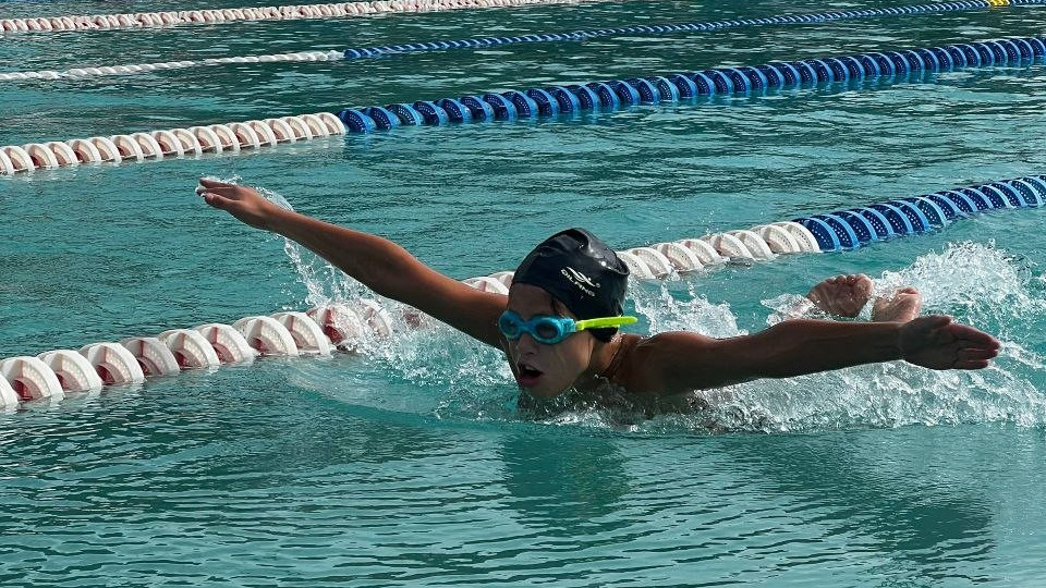 https://test.fronteradigital.com.ve/Culminó con éxito la IX Copa de Natación Cinco Águilas Blancas en Mérida