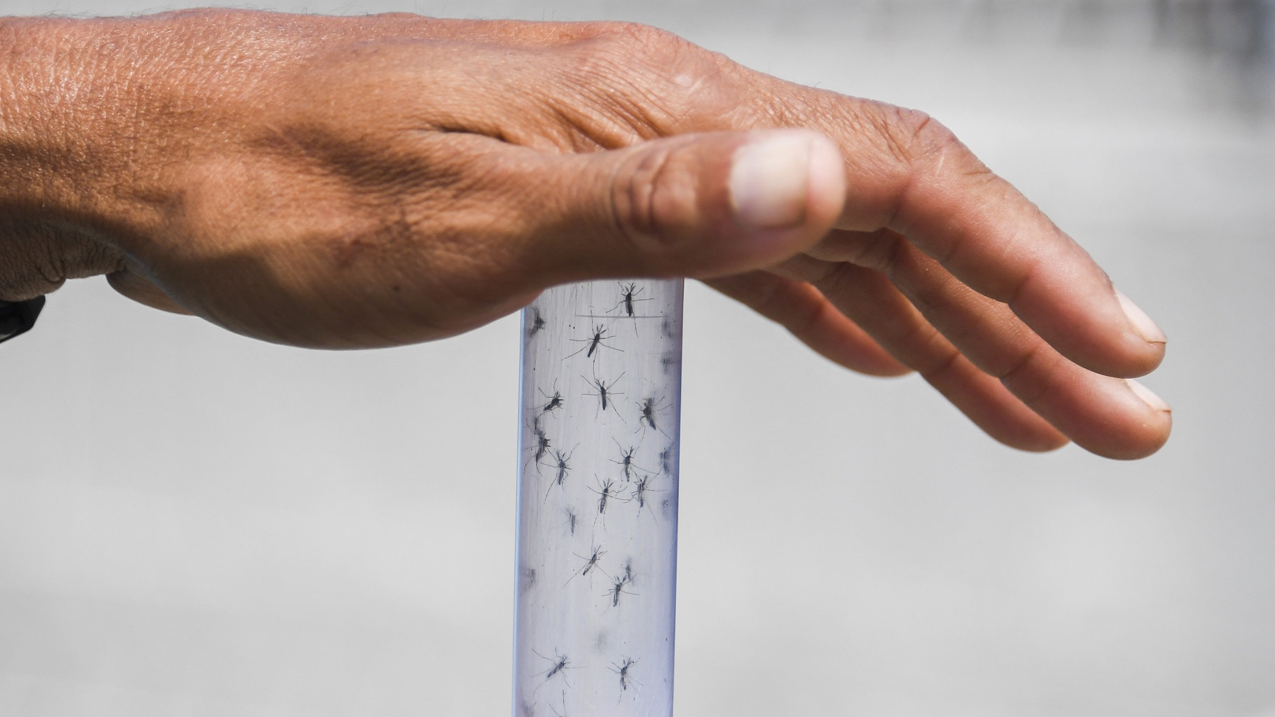 https://test.fronteradigital.com.ve/Ministerio de Salud declara alerta sanitaria nacional por efectos del fenómeno El Niño