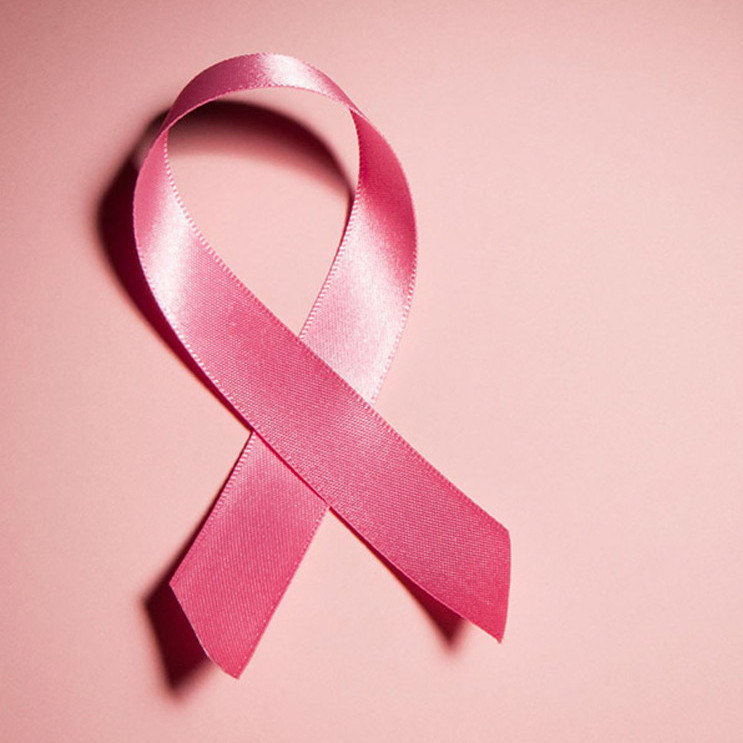 Frontera Digital,  Regionales,  Causa Rosa impulsa actividades en Mérida 
en el marco de la lucha nacional contra el cáncer de mama