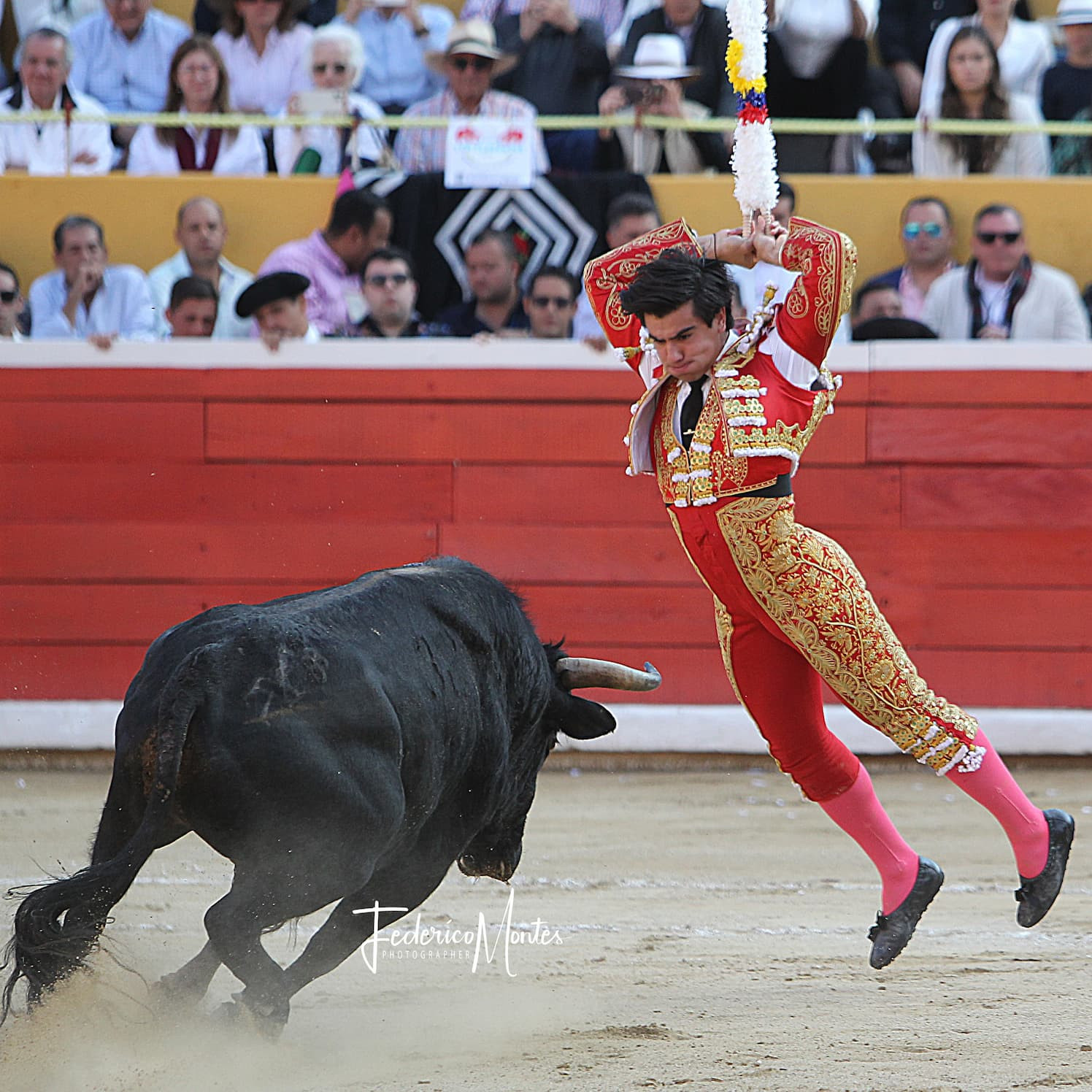 Diario Frontera, Frontera Digital,  Entretenimiento, ,“Colombo” a velocidad crucero cabalga su campaña taurina 2026