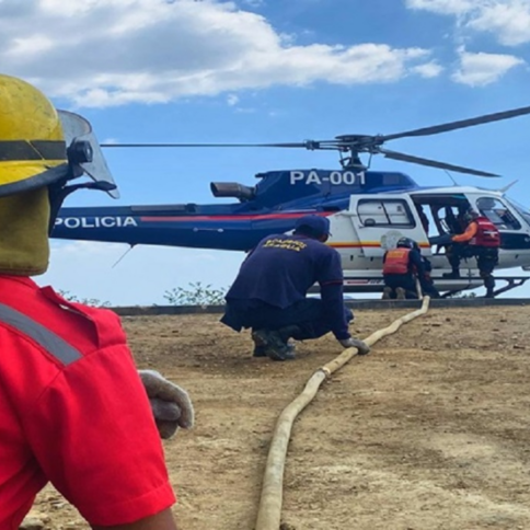 Diario Frontera, Frontera Digital,  Nacionales, ,Autoridades informaron que han logrado sofocar el 80 % de los incendios en el Henri Pittier