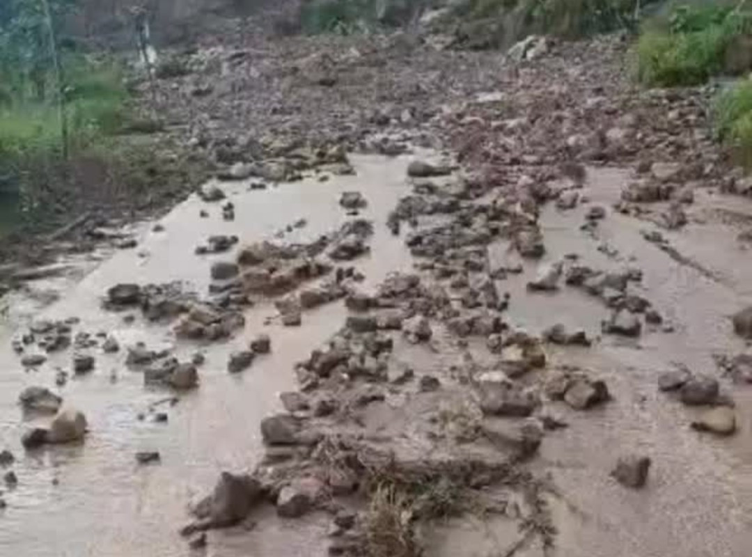 Diario Frontera, Frontera Digital,  Nacionales, ,Decretaron estado de emergencia en Táchira por fuertes lluvias