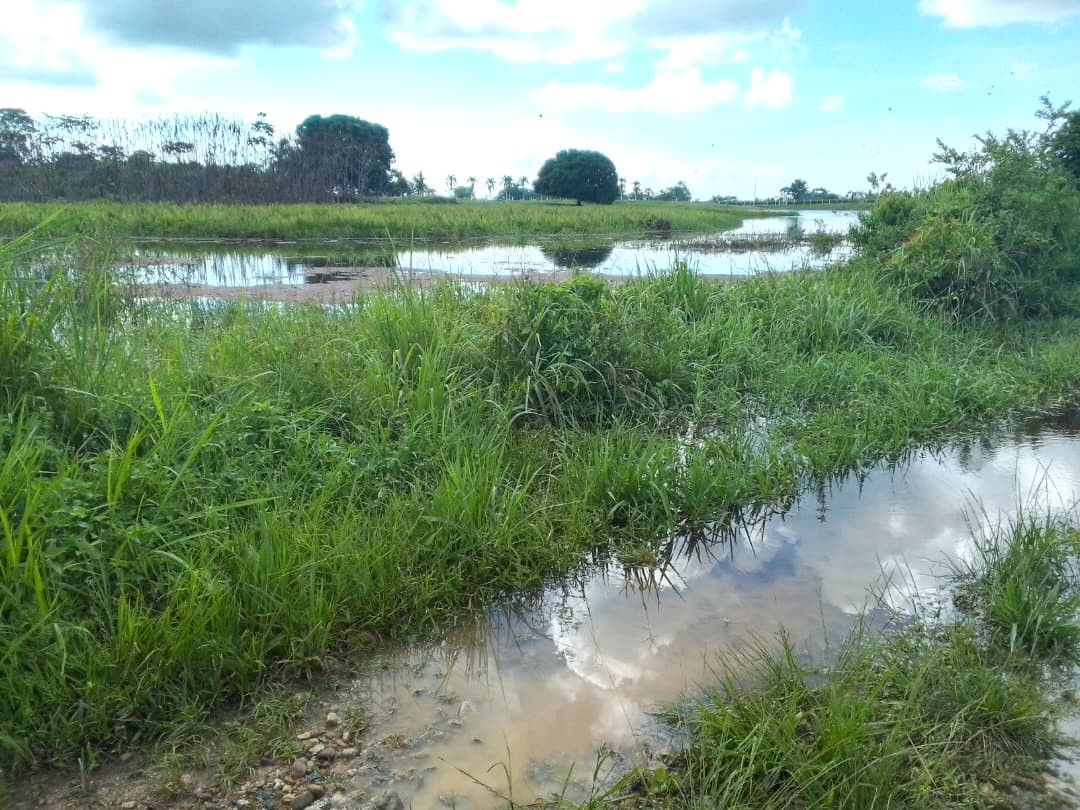 Diario Frontera, Frontera Digital,  Mocoties, ,Alcaldía de Zea evalúa situación de laguna en Casa Blanca para prevenir riesgos viales
