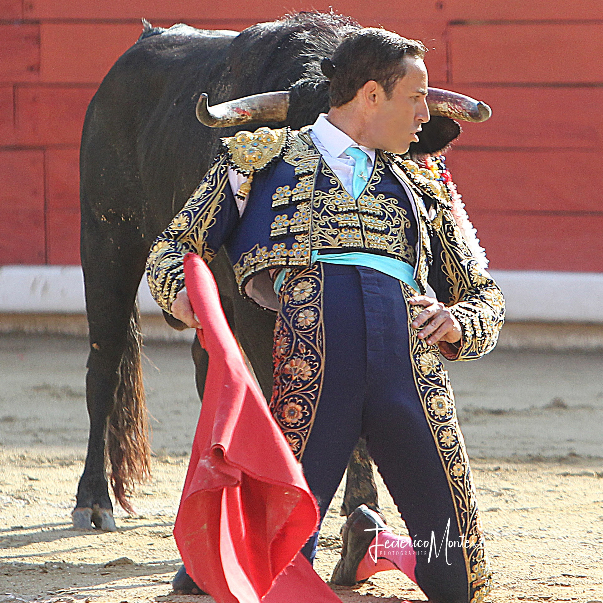 Diario Frontera, Frontera Digital,  Entretenimiento, ,Rafael Orellana persiste en su afán de volver al toro…