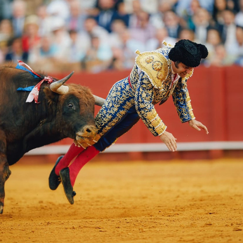 Frontera Digital,  Internacionales, Entretenimiento,  Morante paga con una cornada muy grave su ofrenda absoluta en Sevilla