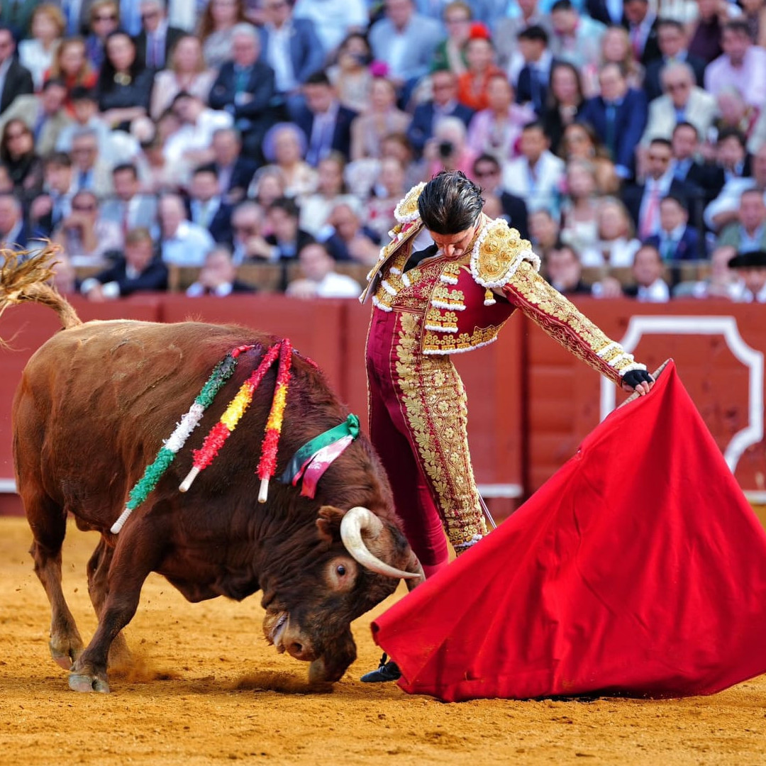 Frontera Digital,  Entretenimiento,  El Talavante de la ilusión con un superclase de Cuvillo