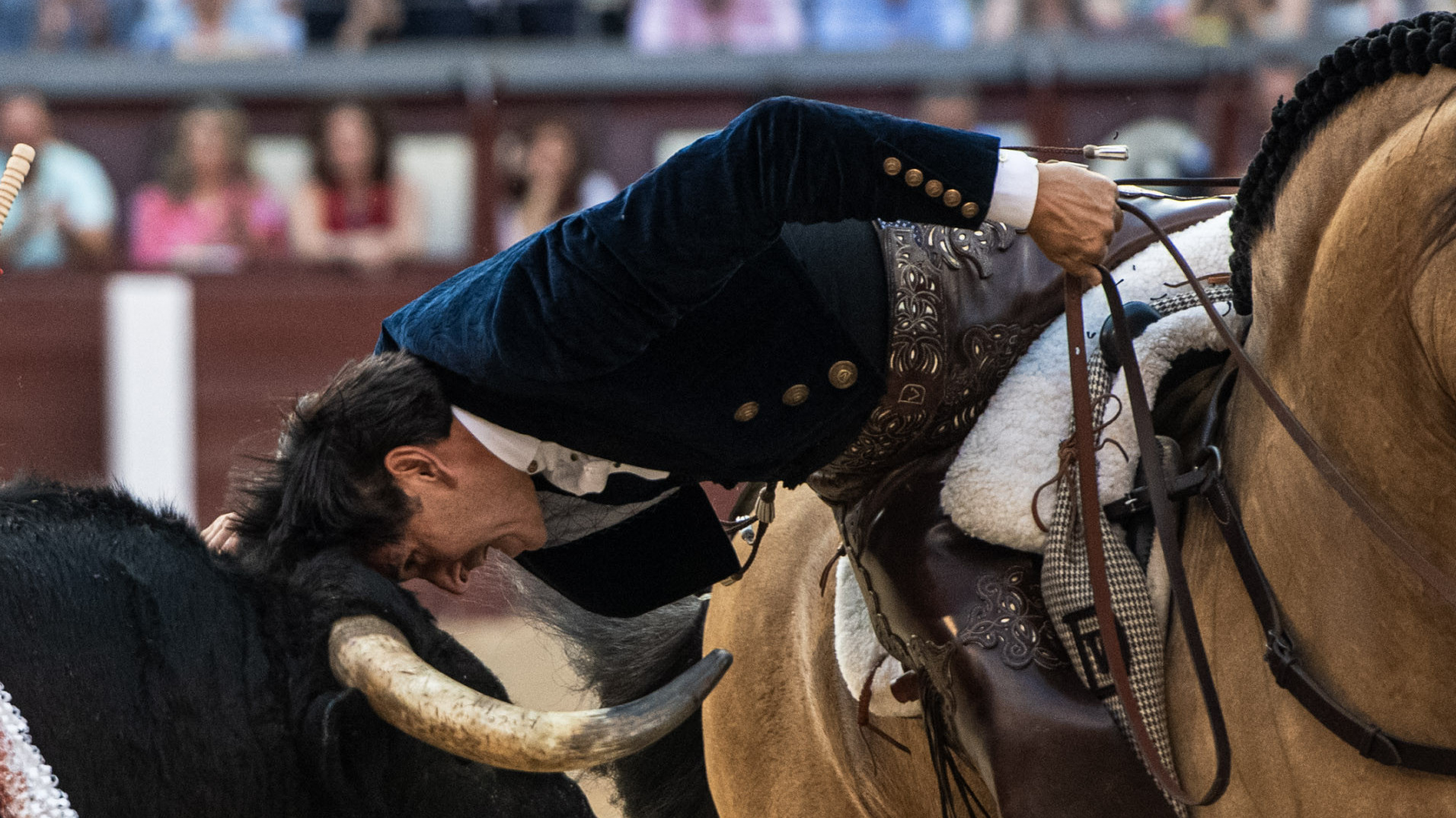 https://test.fronteradigital.com.ve/Diego Ventura agiganta su leyenda y hace historia con su vigésima Puerta Grande