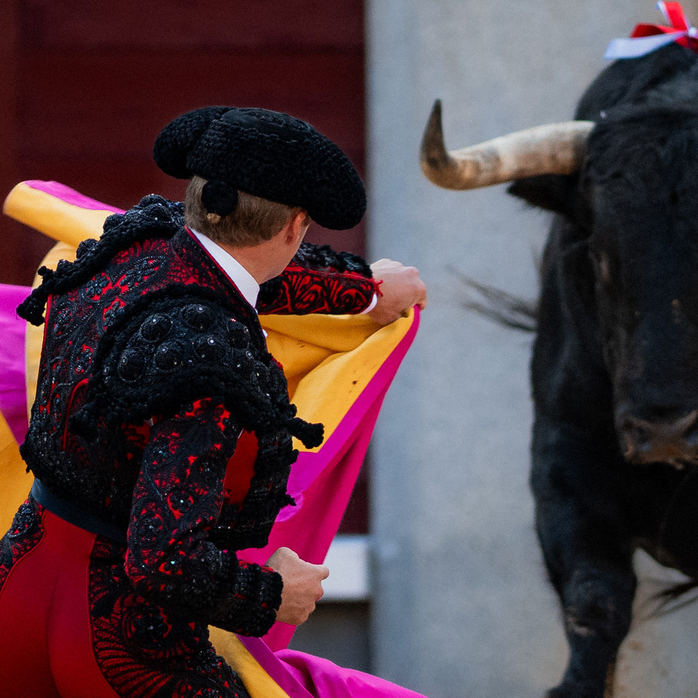 Frontera Digital,  Entretenimiento,  Importante tarde y grave lesión de Clemente ante la dura corrida B de Juan Pedro Domecq en Las Ventas