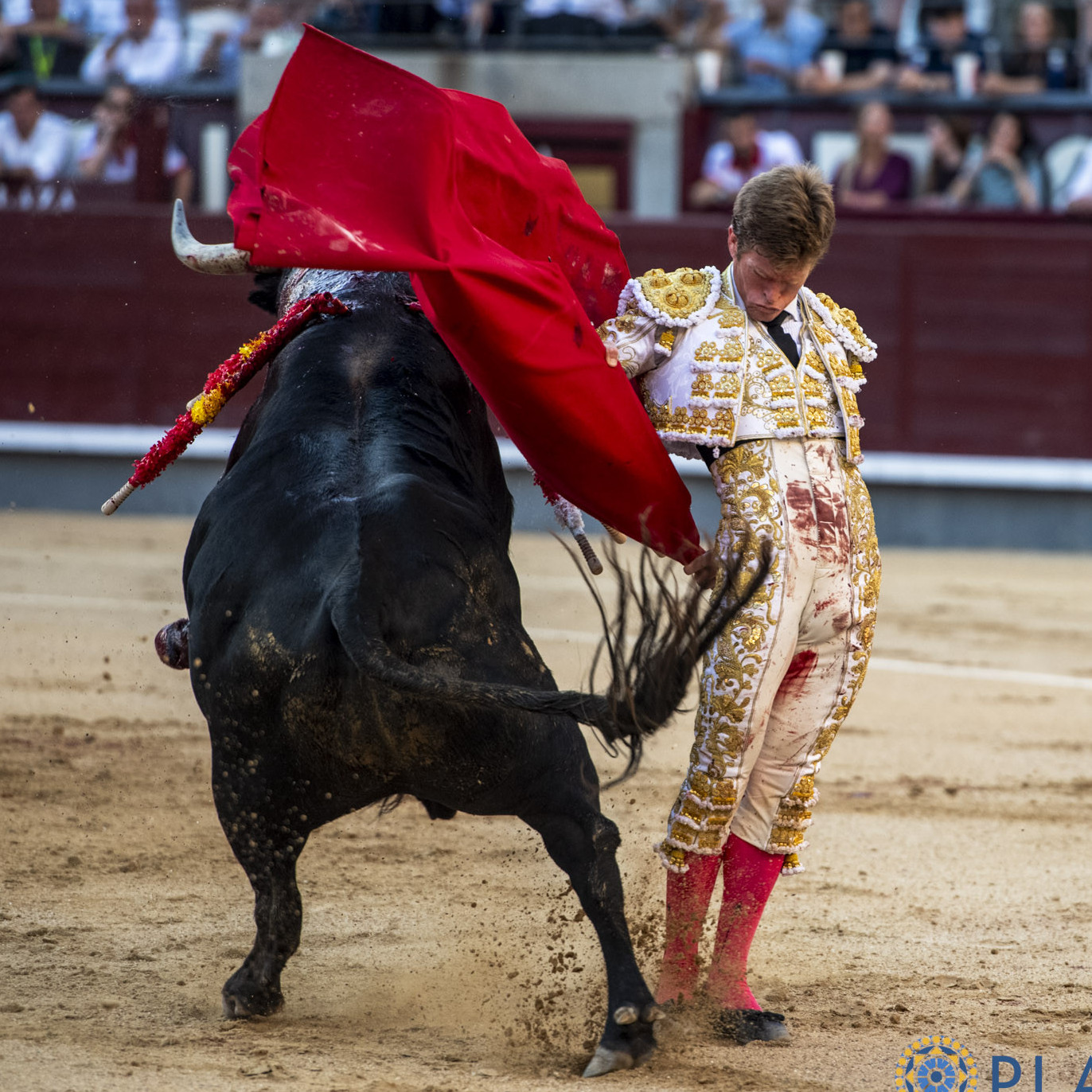 Frontera Digital, Diario Frontera, El síndrome del pánico al triunfo sepulta el gesto de Borja Jiménez en Las Ventas