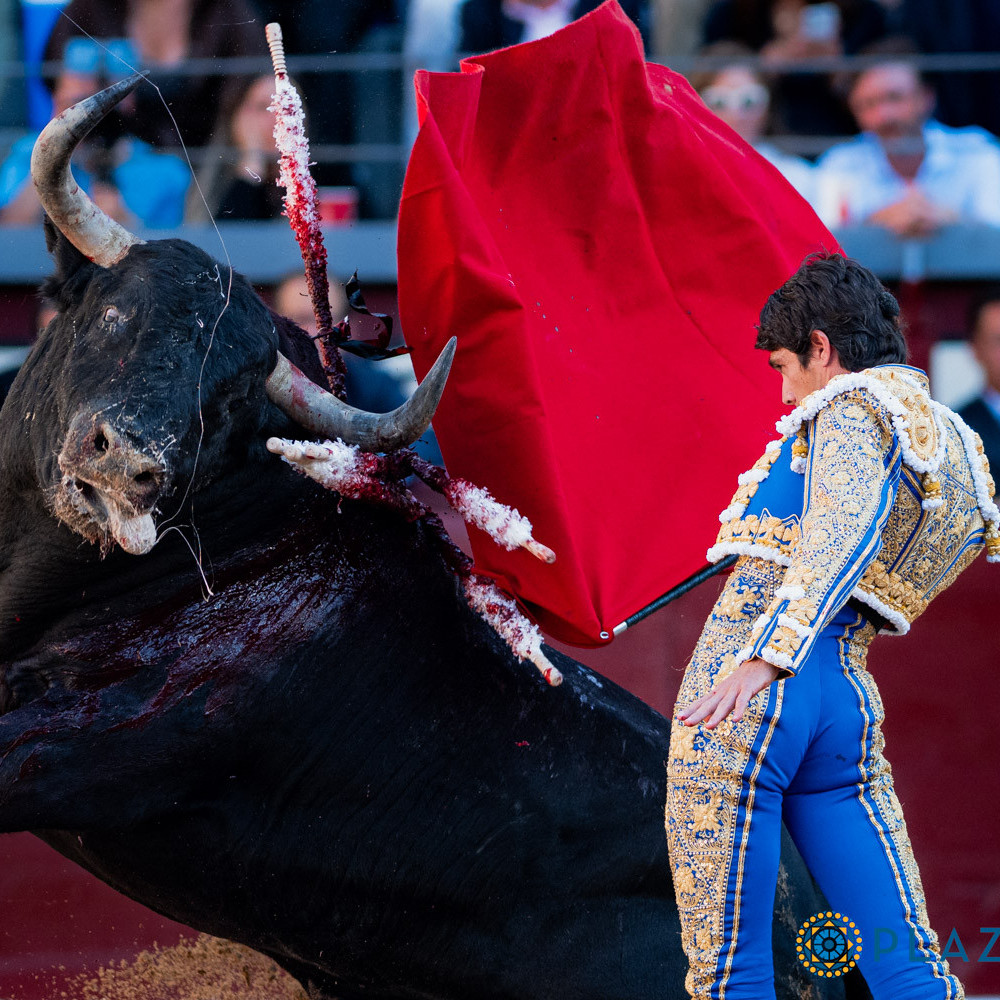 Frontera Digital,  Entretenimiento,  Otro nuevo récord de asistencia con gran numero de toros 
que se fueron al destazadero con las orejas colgando