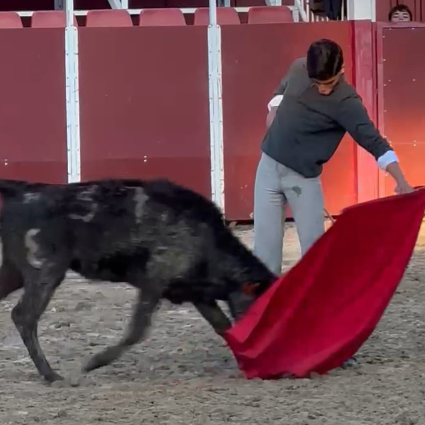 Frontera Digital,  Entretenimiento,  Novillero sin picadores tovareño Luis Mendoza se reporta desde Madrid