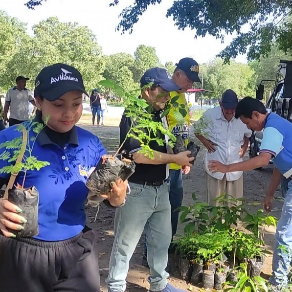Frontera Digital,  El Vigía Panamericana,  Masiva jornada de reforestación en El Vigía: 1.000 árboles sembrados 
en 12 puntos estratégicos