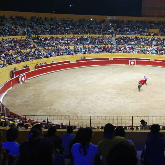 Frontera Digital, Diario Frontera, TORICANTANO C.A. comienza bosquejar par de festivales benéficos feriales en Tovar