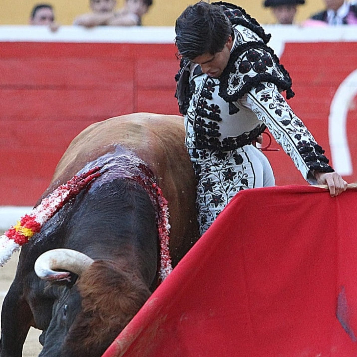 Frontera Digital, Diario Frontera, Una Feria de Tovar 2026 centrada en buscar sus orígenes