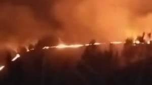 https://test.fronteradigital.com.ve/Incendio forestal afectó montañas del 
Páramo andino en el municipio MIranda