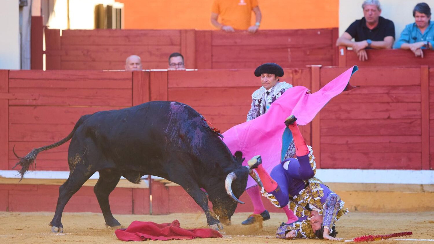 https://test.fronteradigital.com.ve/Más de 400 abonos vendidos respaldan edición taurina ferial tovareña 2026