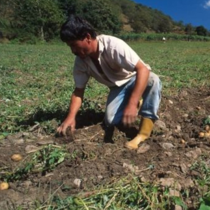 Diario Frontera, Frontera Digital,  Nacionales, ,Asdrúbal Oliveros advierte que "El Niño" podría provocar encarecimiento en mercado venezolano