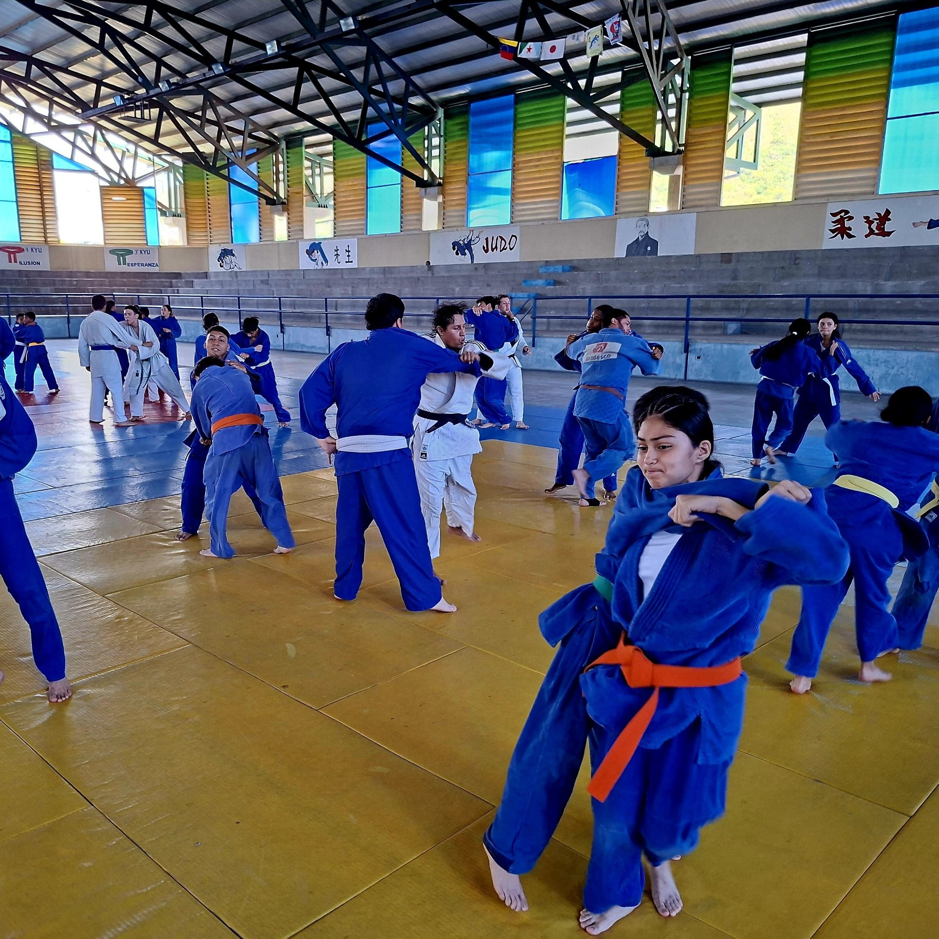 Frontera Digital, Diario Frontera, ‎Mérida recibió con éxito masivo campamento regional de judo